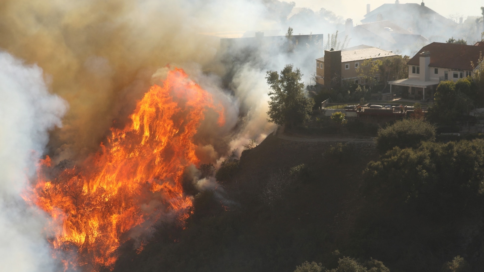 california-wildfire-pacfic-palisades-rt-lv-250107-4_1736295419402_hpMain_16x9.jpg