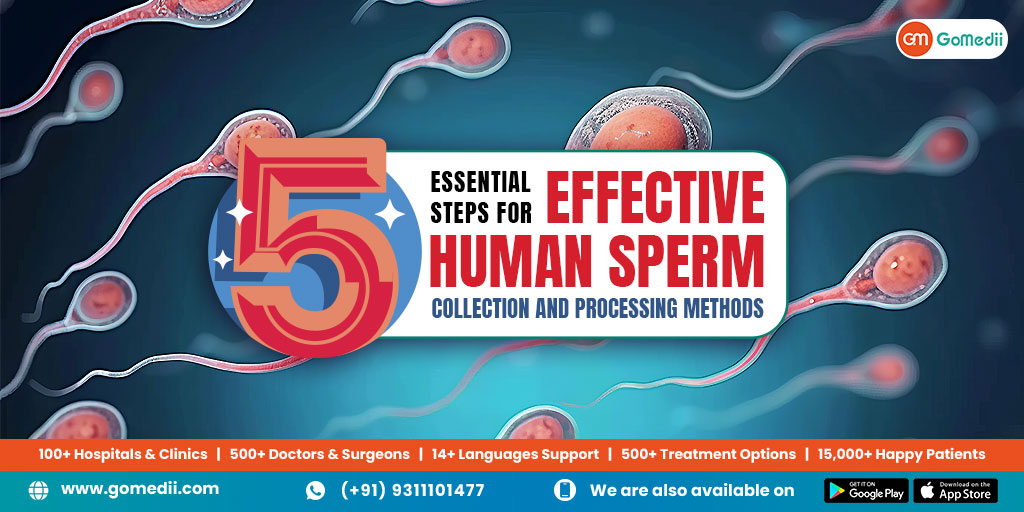 Effective-Human-Sperm-Collection-Blog_Dec24_v2.jpg